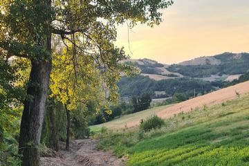 Lavori di Manutenzione Straordinaria e Opere Idraulico-Forestali da Fraz. Sanguignano a Fraz. Balestrero