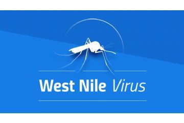 West Nile: come proteggersi e come evitare l&#39;infezione